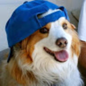 Meet your Posher, Tyndall